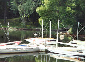 Sunfish sailboats moored on the lake